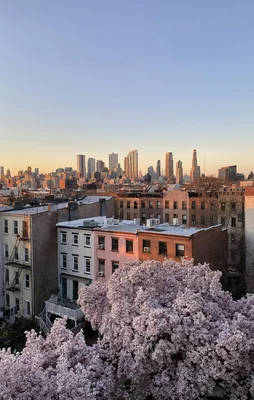 Brooklyn, uno de los destinos de consigna de equipaje más populares de Stasher
