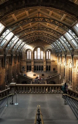 Natural History Museum, l'une des destinations de stockage de bagages les plus populaires de Stasher